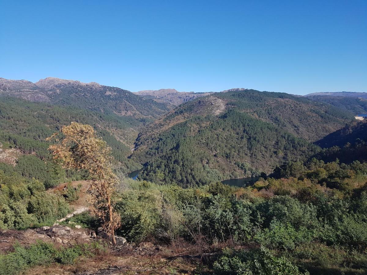 Quinta Da Resteva-Chale Do Rio Vieira do Minho Buitenkant foto